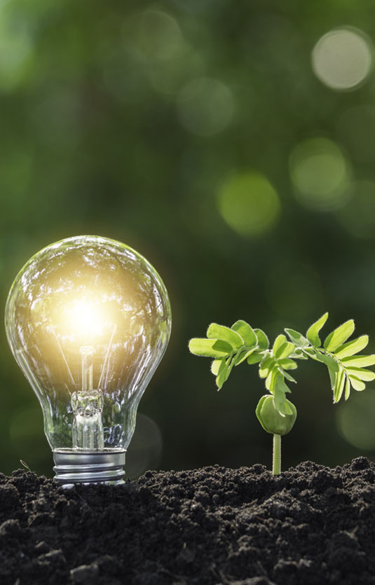 Markenführung, Markenberatung Werbeagantur, Corporate Design Marketing-Strategie, Consulting und Kreativberatung